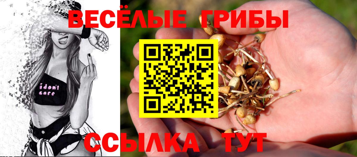 Псилоцибиновые грибы ЛСД Янаул