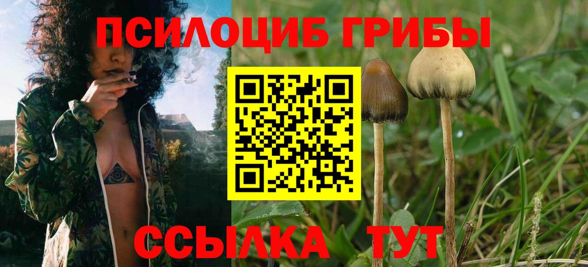 Псилоцибиновые грибы Cubensis  Галлюциногенные грибы Magic Shrooms  Янаул  Вход с VPN 